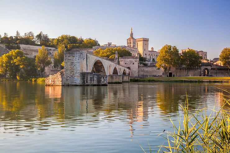 Avignon et le Palais des Papes (Vaucluse)