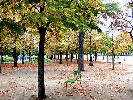 Jardin des Tuileries en automne