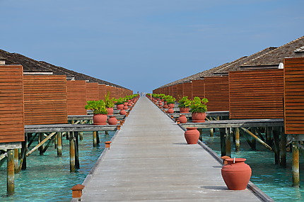 Maldives 2013