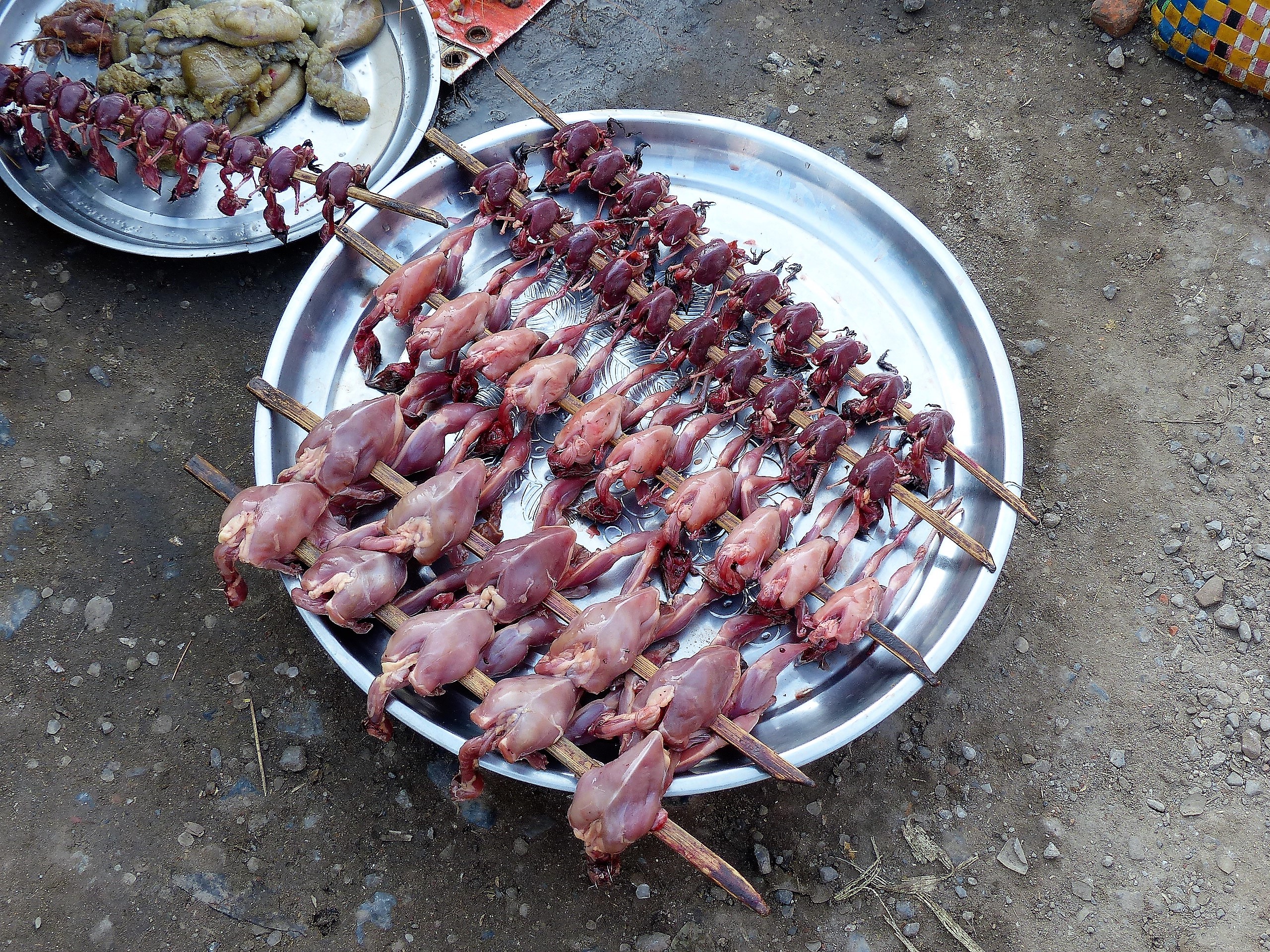 Brochettes de petits oiseaux Brochettes de petits oiseaux