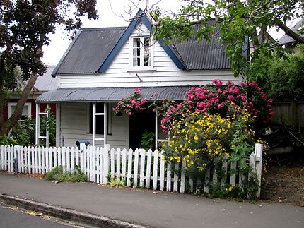Maison de la Bruce Terrace et arbustes en fleurs