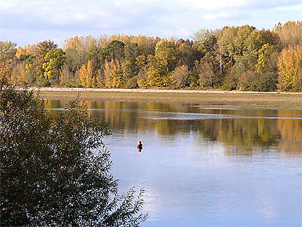 La Loire en Anjou