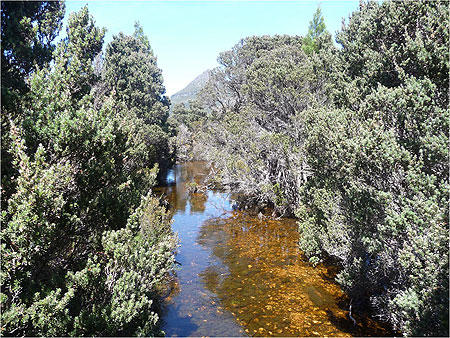 Rivière couleur thé Rivière couleur thé