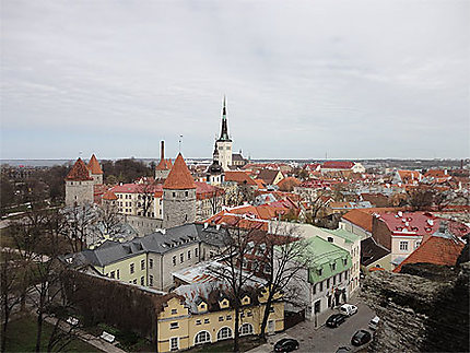 Tallinn -Belvédères