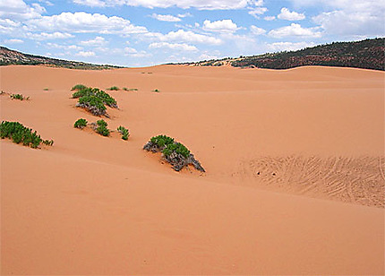 Coral Pink Sand Dunes