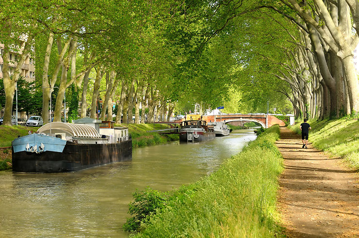 Le canal du Midi (Haute-Garonne, Aude, Hérault)