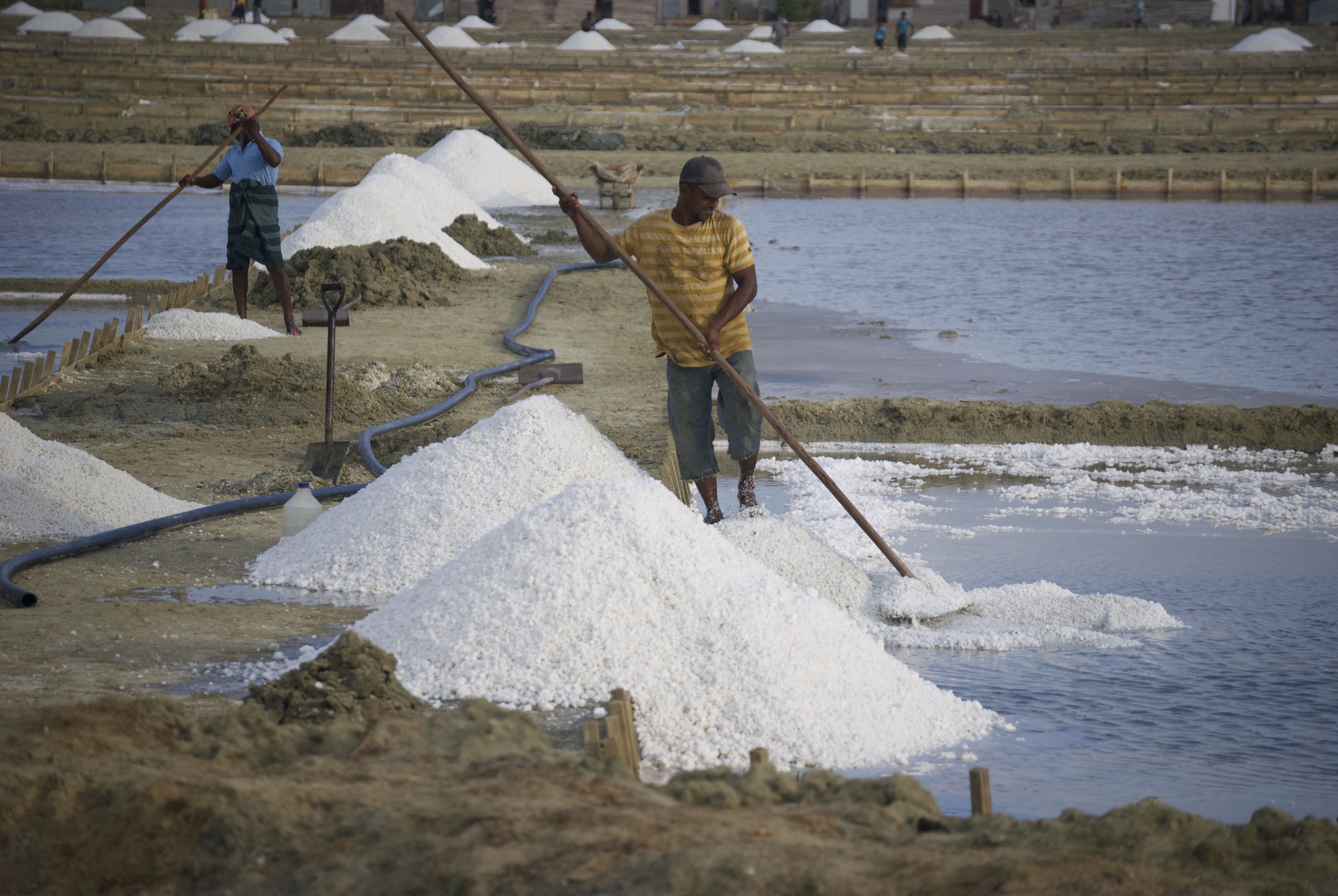 Puttalam lagoon salt Puttalam lagoon salt