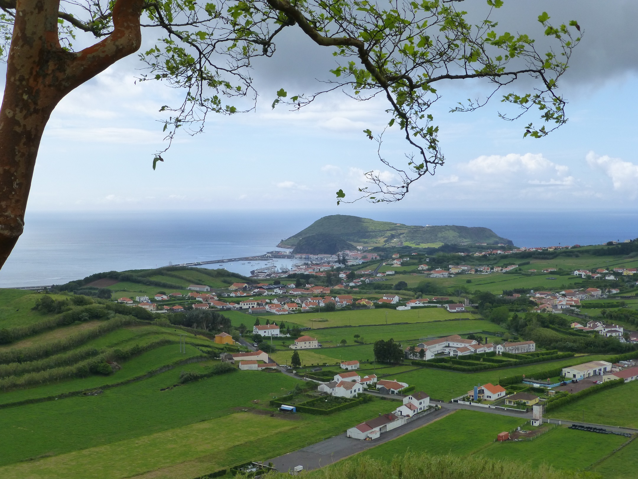 Vue lointaine de Horta Vue lointaine de Horta
