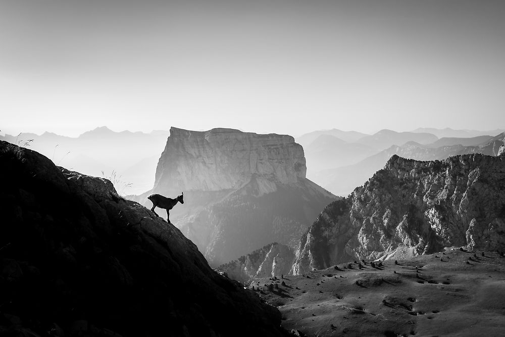 Au cœur du Vercors