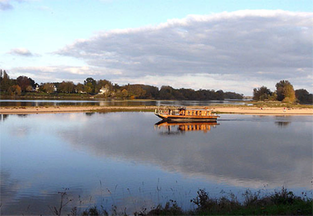 Promenade au confluent de la Loire et de la Vienne