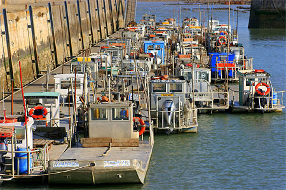 Le Port de Boursefranc Le Chapus