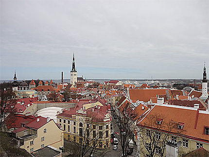 Tallinn -Belvédères