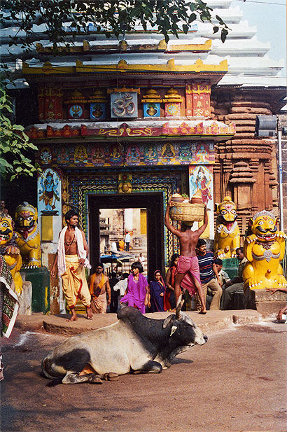 Couleurs indiennes au Lingaraj temple, jotirlingam yatra