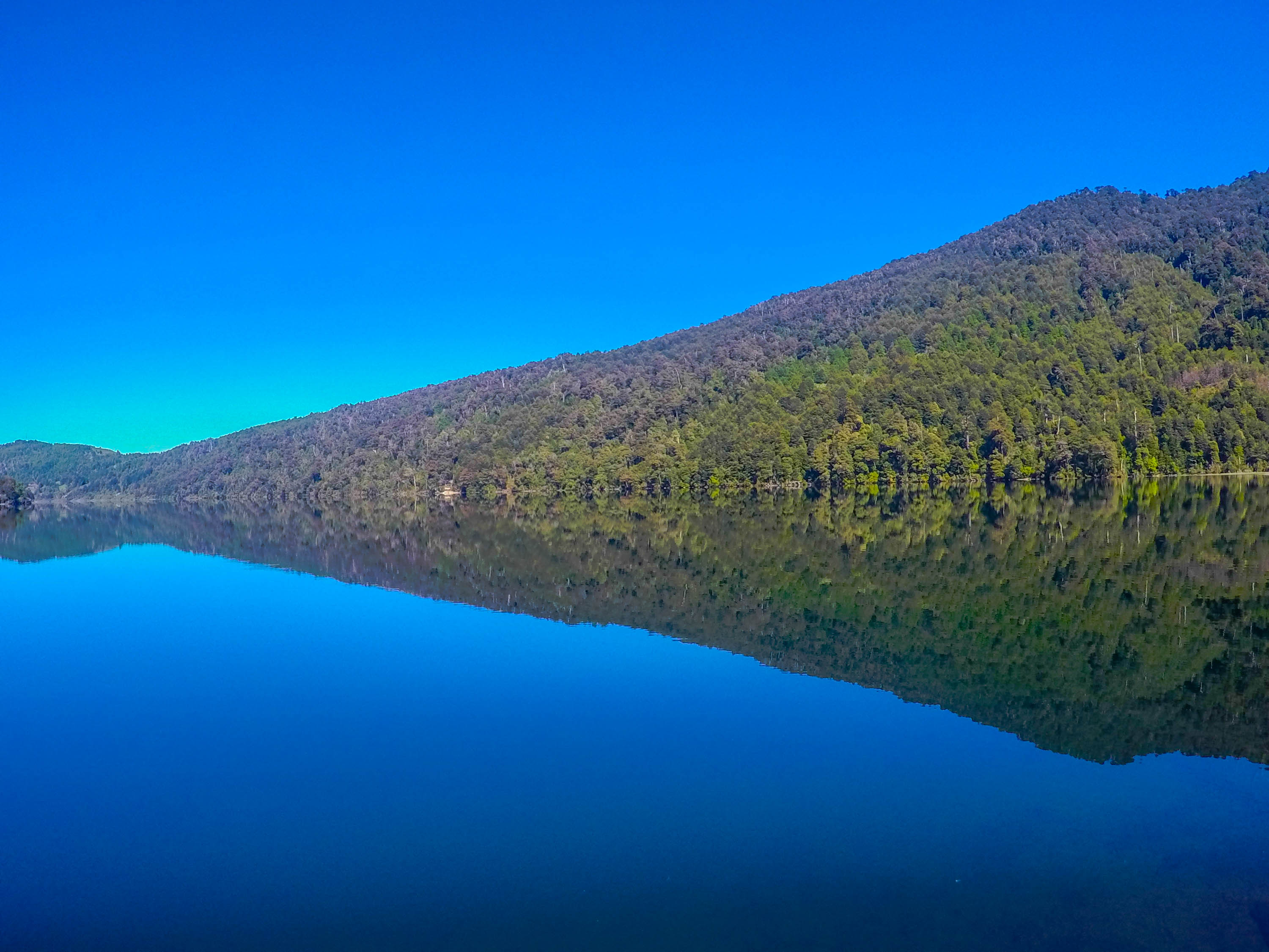 Test de Rorschach Test de Rorschach