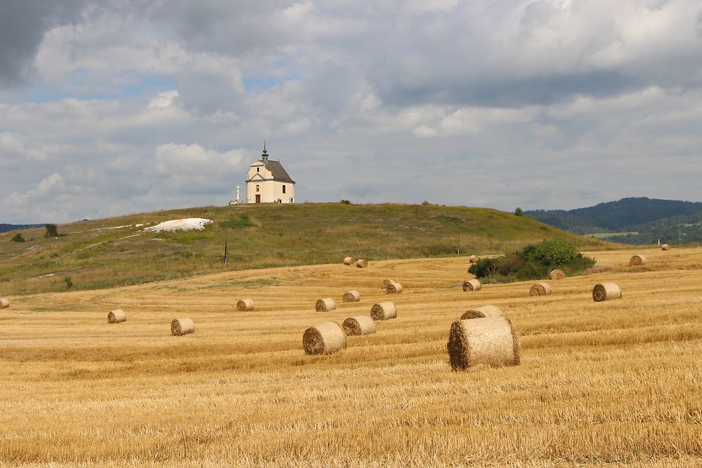 Environs de Spiš