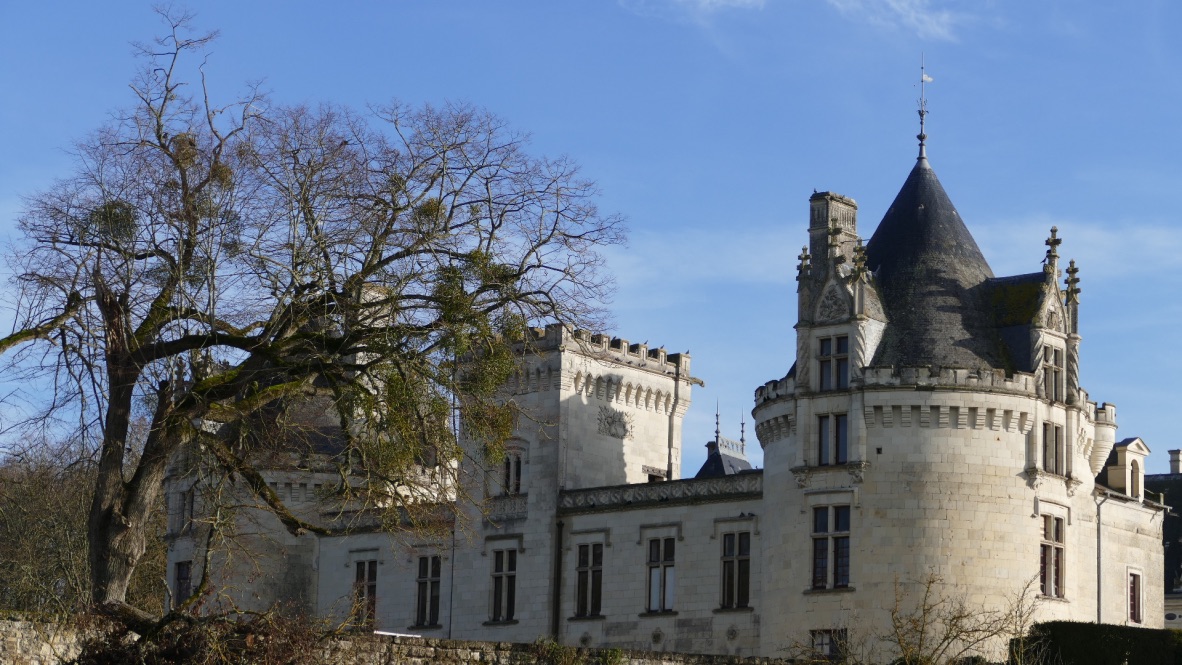 Château de Brézé Château de Brézé