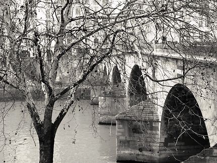 Le Pont Marie en hiver