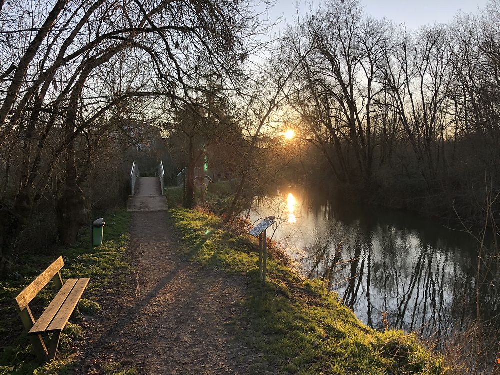 Balade hivernale dans le Marais poitevin