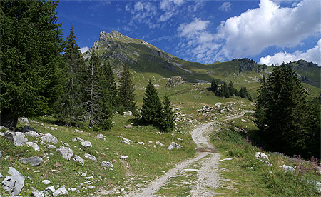 Sentier de randonnée, col de la Ramaz, Sommand Sentier de randonnée, col de la Ramaz, Sommand