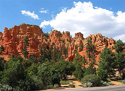 Red Canyon