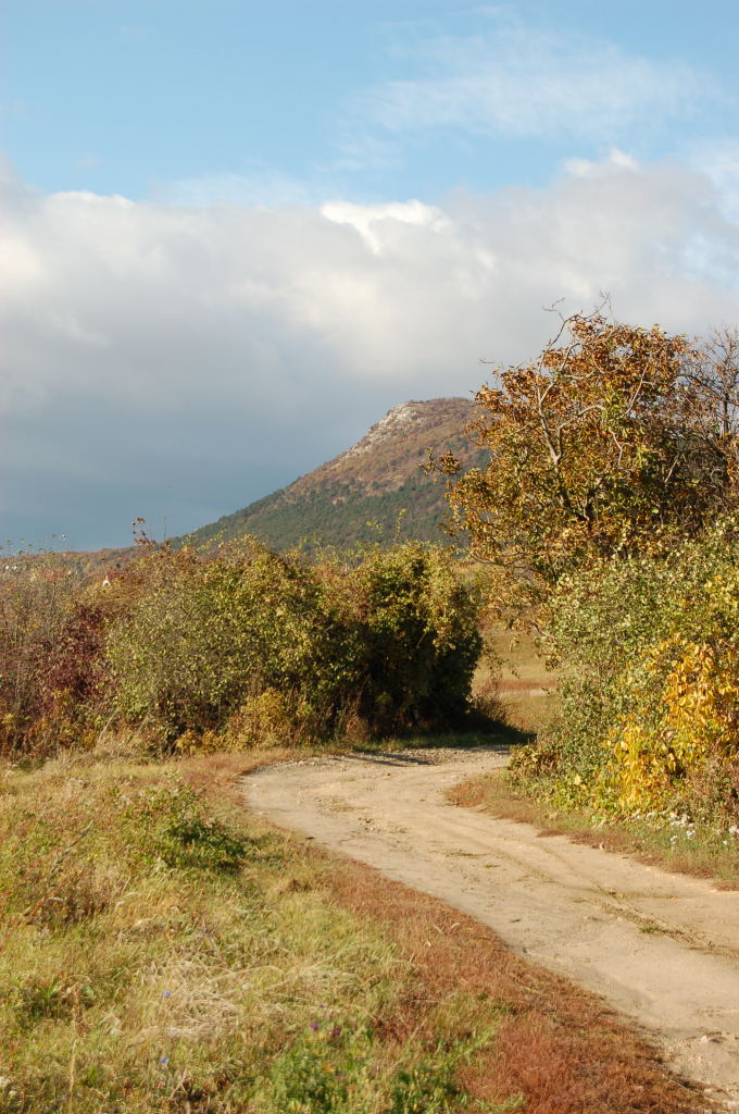 Nature en automne à Pilisborosjenő Nature en automne à Pilisborosjenő