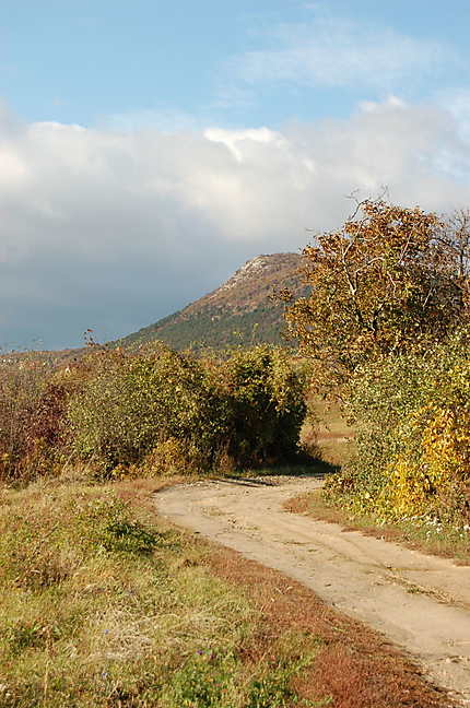 Nature en automne à Pilisborosjenő