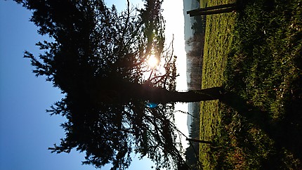 Jeu avec le soleil au Puy Brézou