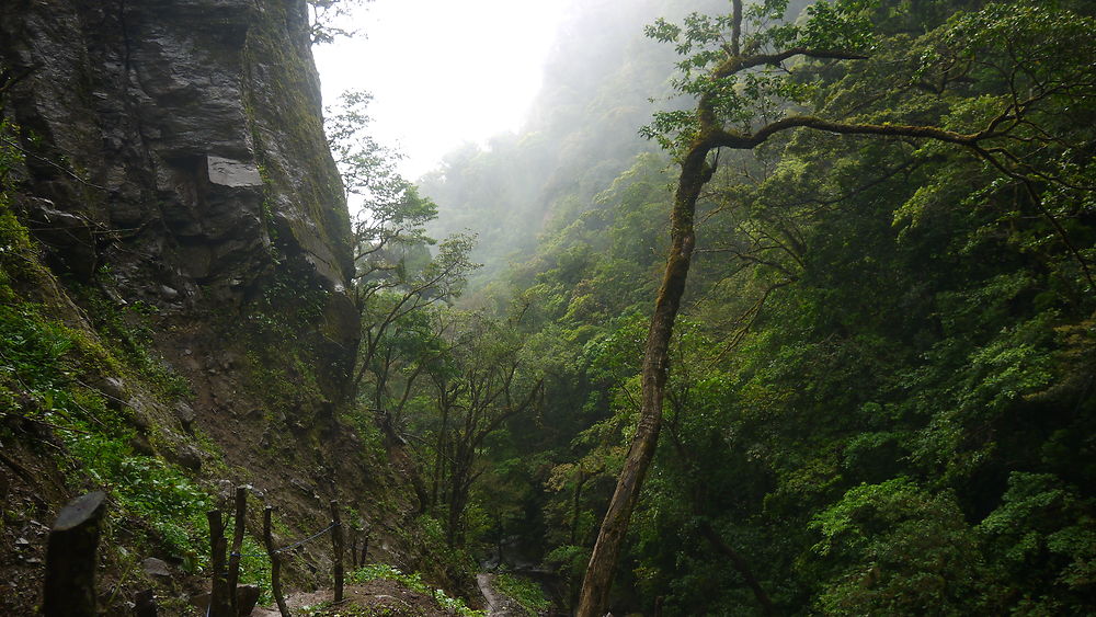 Sur les traces de San Luis