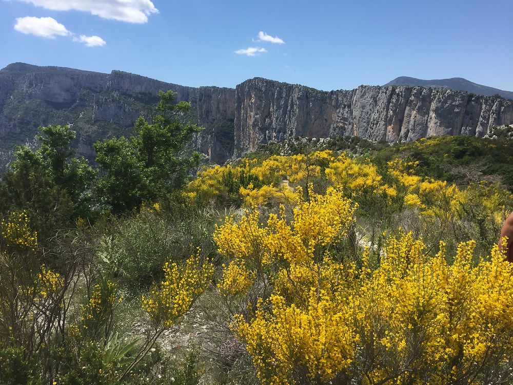 Printemps dans le Verdon