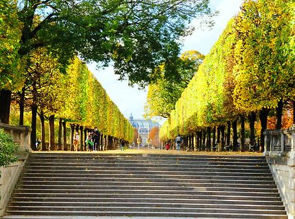 Couleurs d'automne aux Tuileries