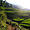 Coucher de soleil sur les rizières du Nord du Vietnam