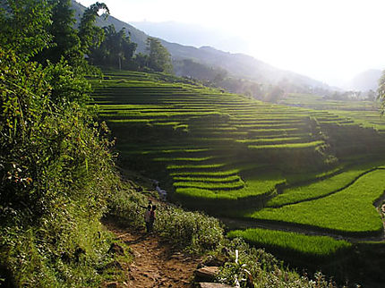 Coucher de soleil sur les rizières du Nord du Vietnam