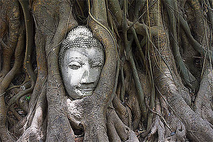 Ayutthaya wat mahathat
