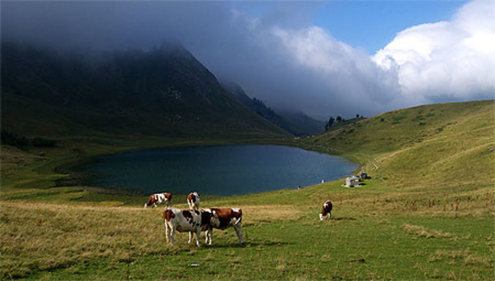 Lac de Roy, Sommand