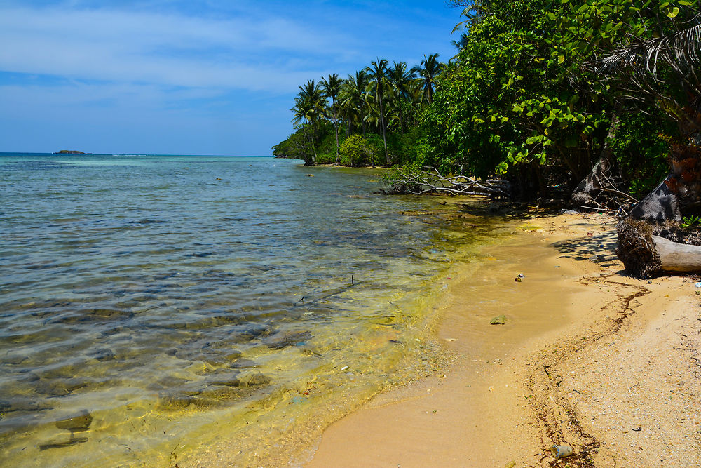 Plage sauvage à Karimunjawa