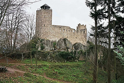 Château du Bernstein