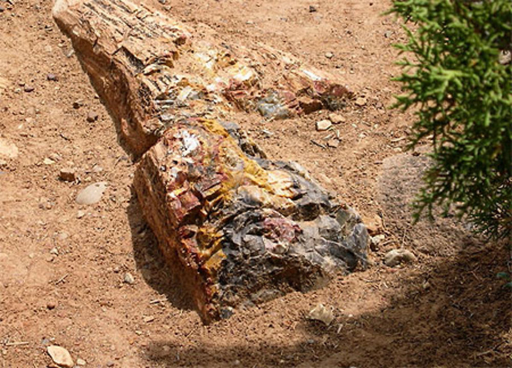 Escalante National Monument