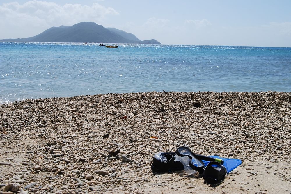 Great Reef Barrier