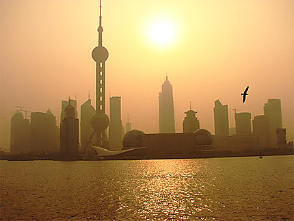 LA Skyline de Shanghai