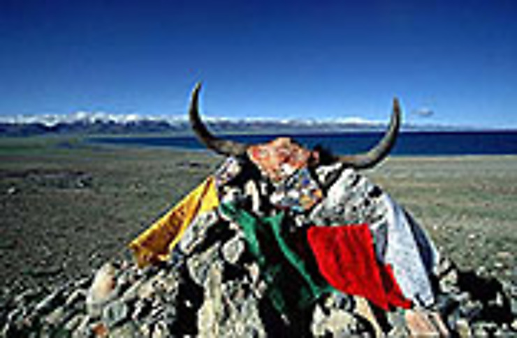 Losar, le nouvel an tibétain 