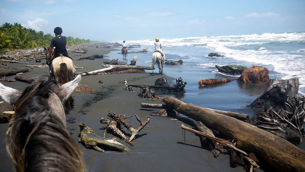 Zone désertique à Cahuita