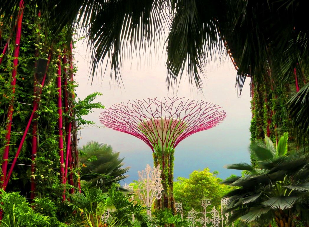 Les smarts cities : Gardens by the bay 