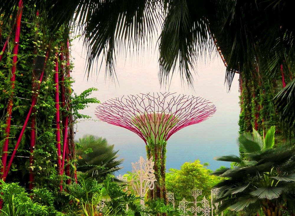 Les smarts cities : Gardens by the bay 