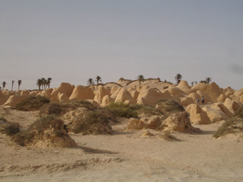 Dunes aux portes du sahara