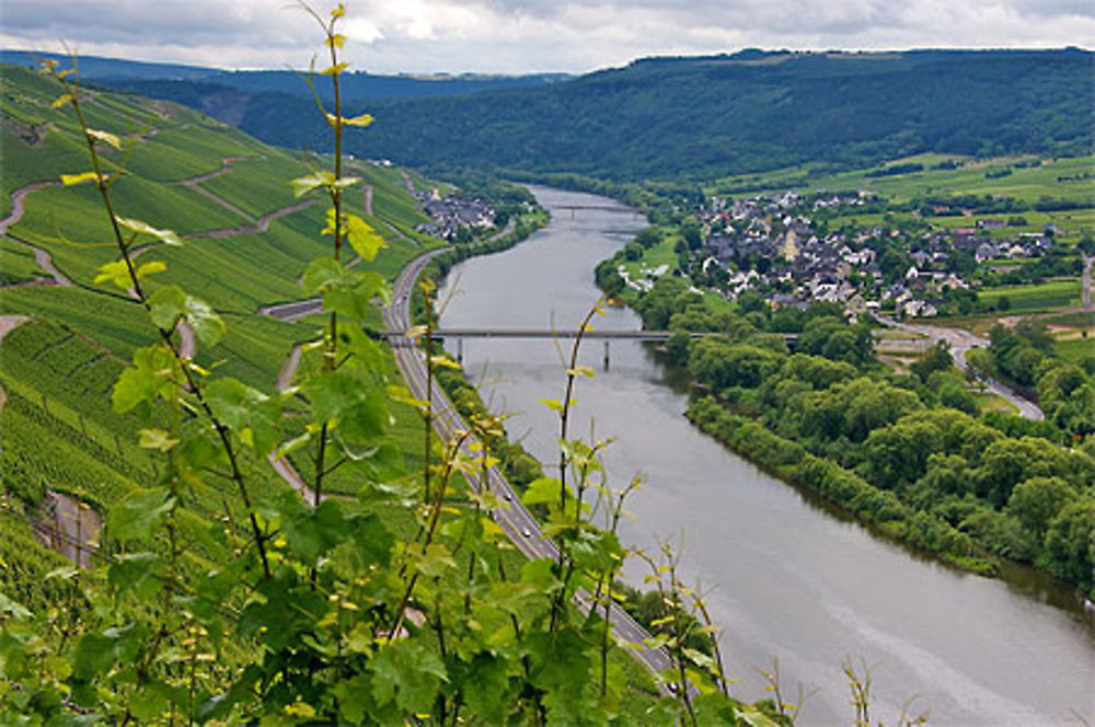 Vallée de la Moselle