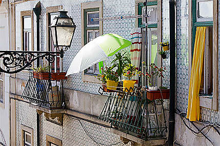 Lisbonne - Alfama - Petit balcon jardin