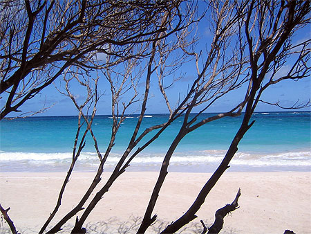 Plage Plage