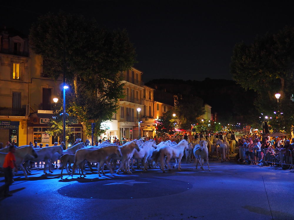 Feria du Melon de Cavaillon