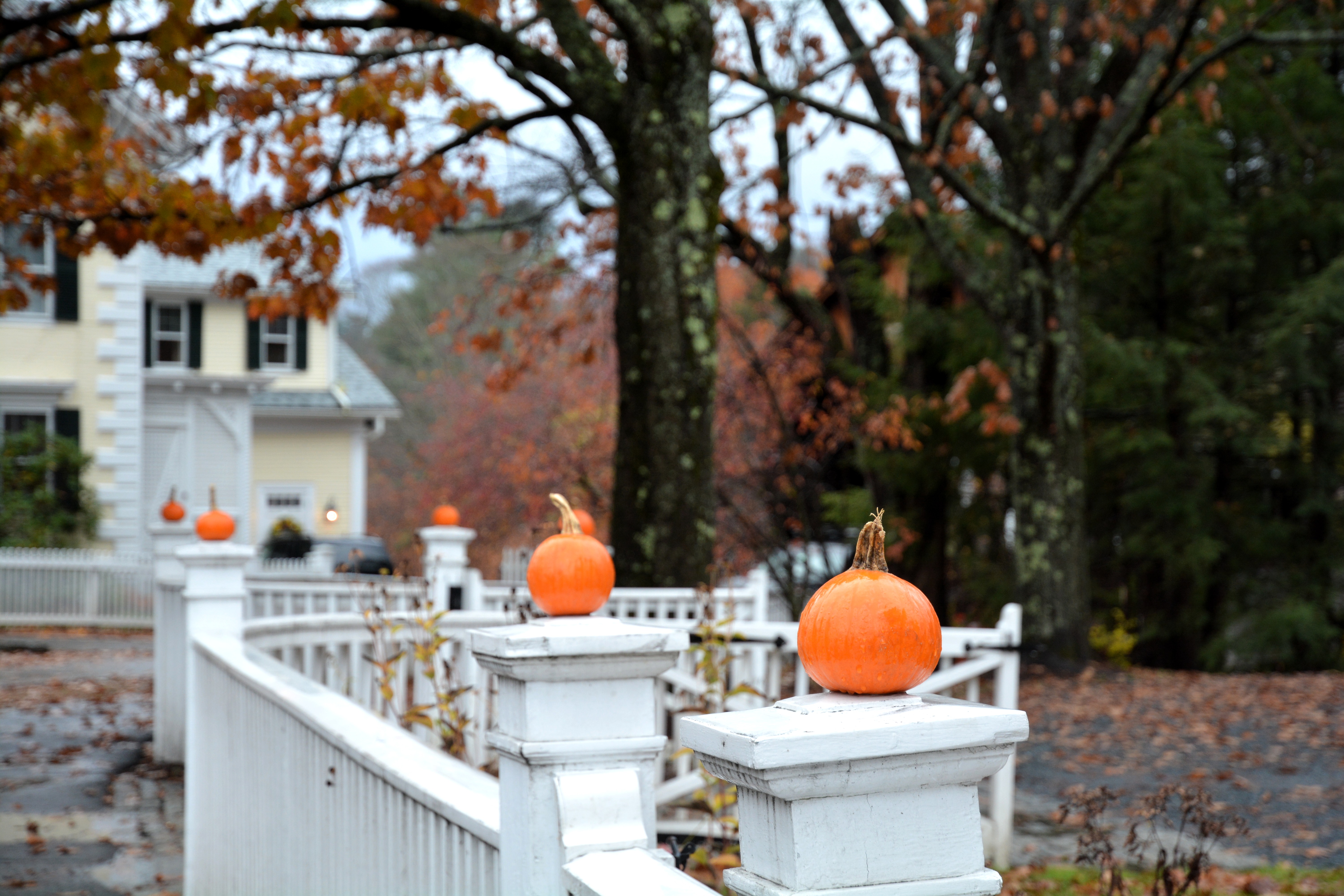Halloween dans le Vermont Halloween dans le Vermont