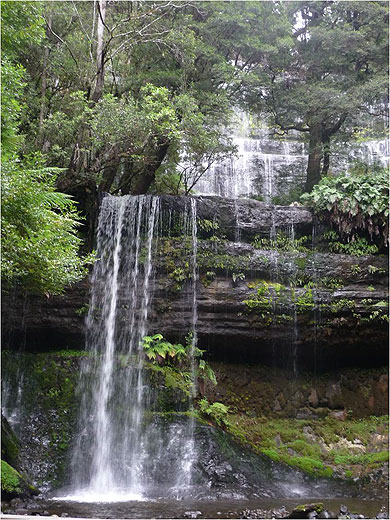 Russell Falls Russell Falls